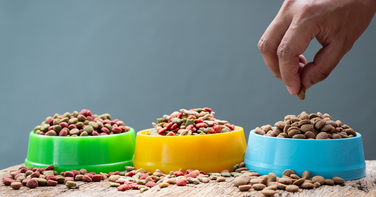 Best Dog Food for small dogs.